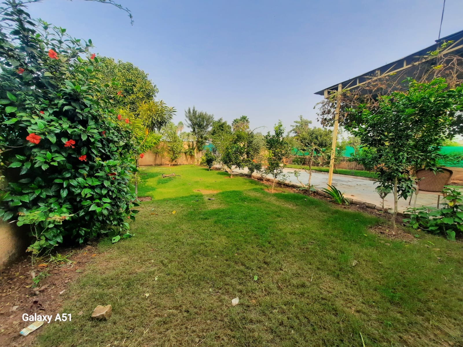 Farm House for rent
