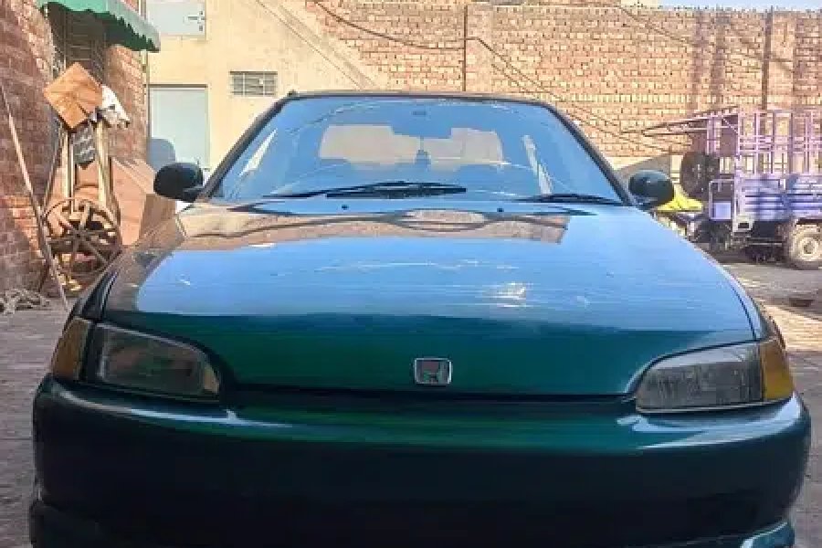 سوک ڈولفن 1995