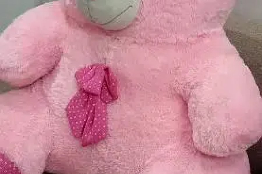 teddy bear Korangi Road, Karachi