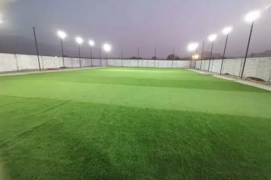 Artificial Grass works - Home Decorating Wall Grass - Artificial Grass University Road, Karachi
