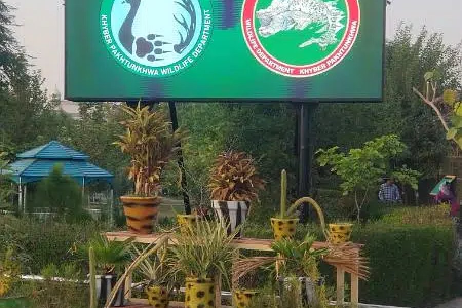 outdoor screens water n weather proof GT Road, Peshawar