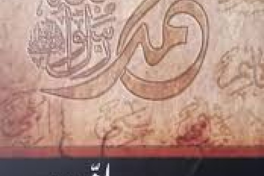 Seerat un Nabi by Dr Israr Ahmed