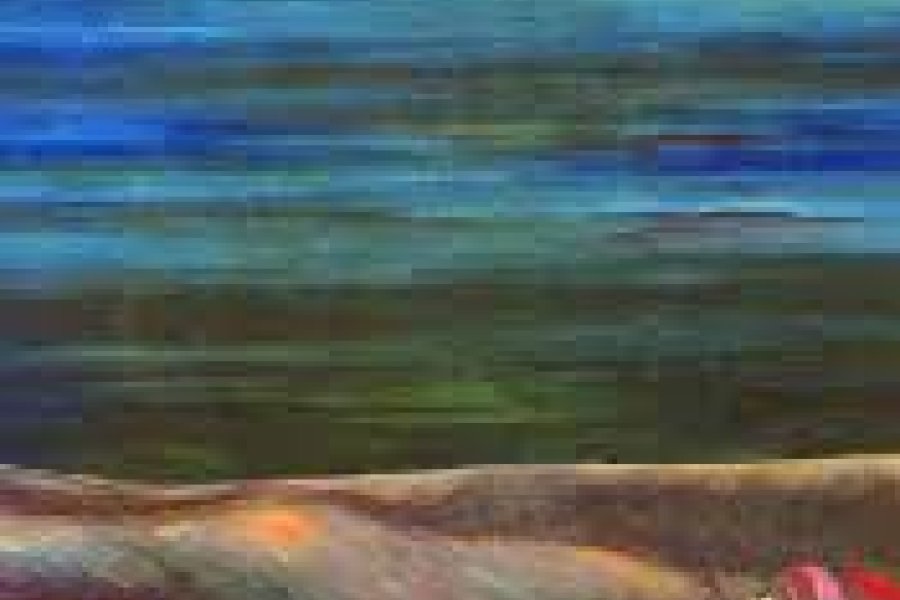 عمیرہ احمد کا پیر کامل ناول