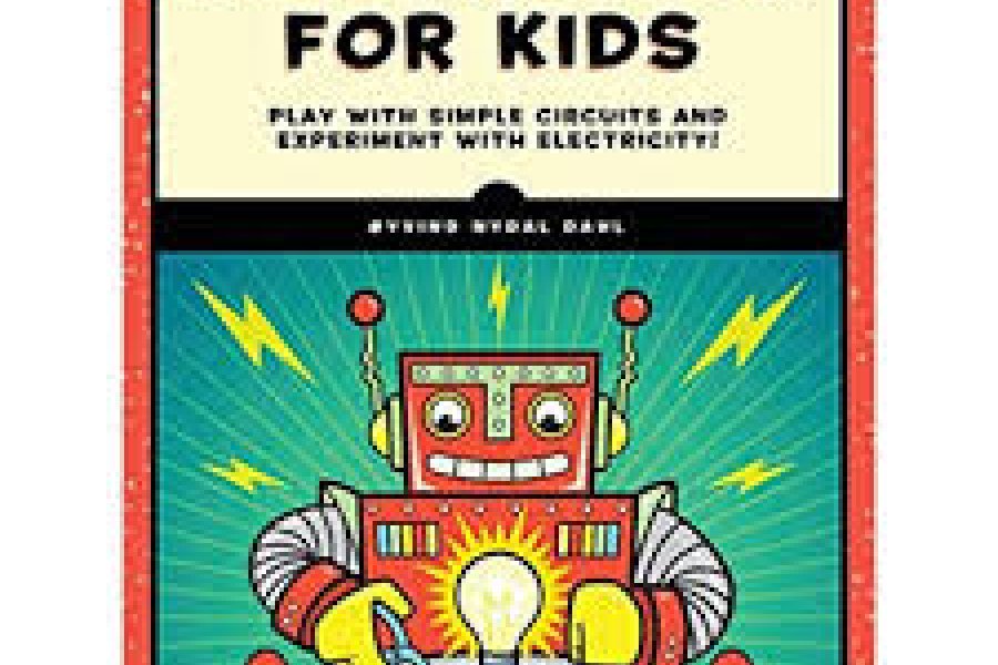 الیکٹرونکس برائے بچوں از اویوند نیڈل ڈہل
