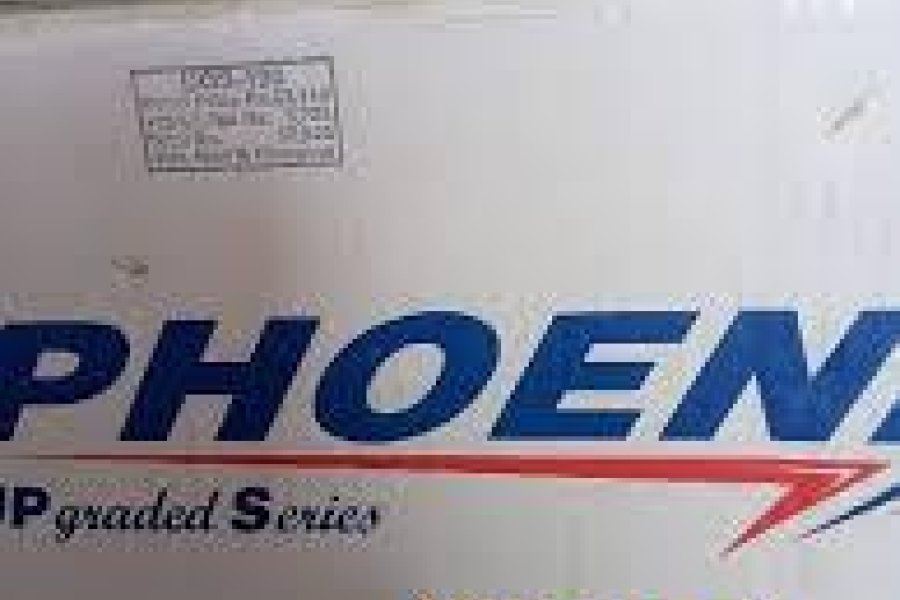 PHOENIX UGS 190  Brand-New Battery