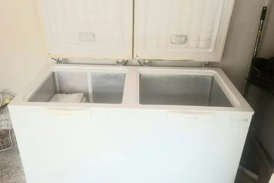 Waves Freezer WDFT-315 ( hardly used very good condition)