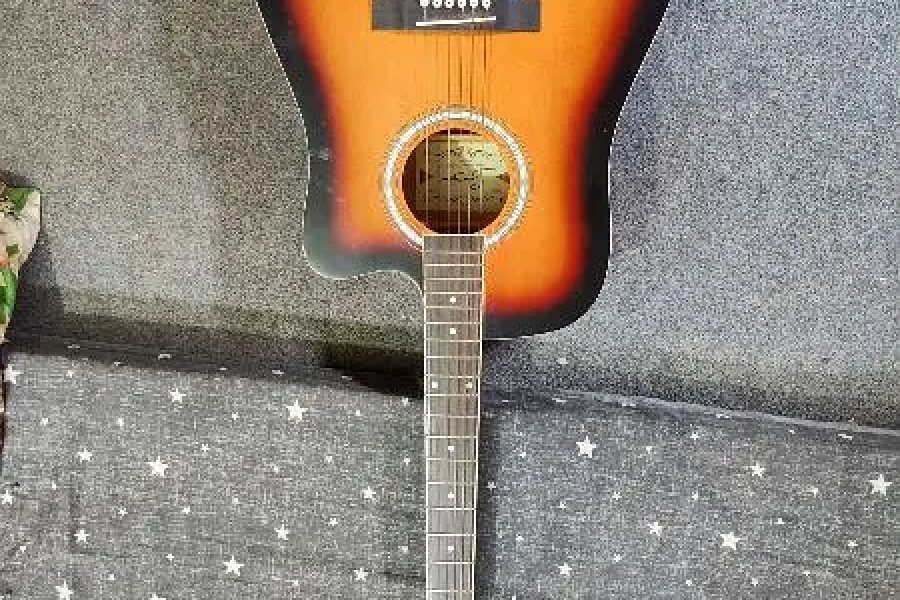 guitar Saiger Brand
