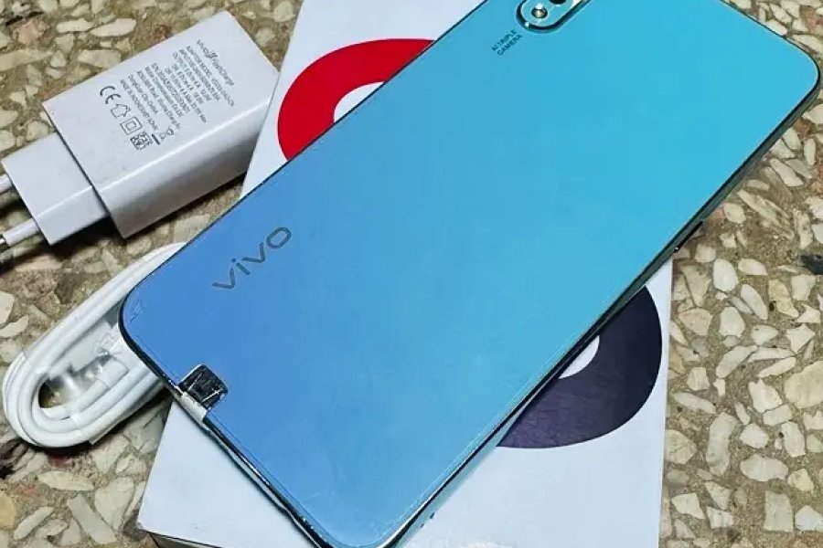 Vivo S1 8/256