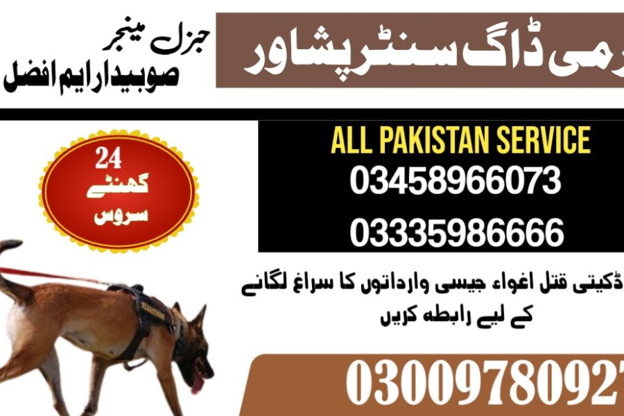 آرمی ڈاگ سنٹر پشاور 03459033016