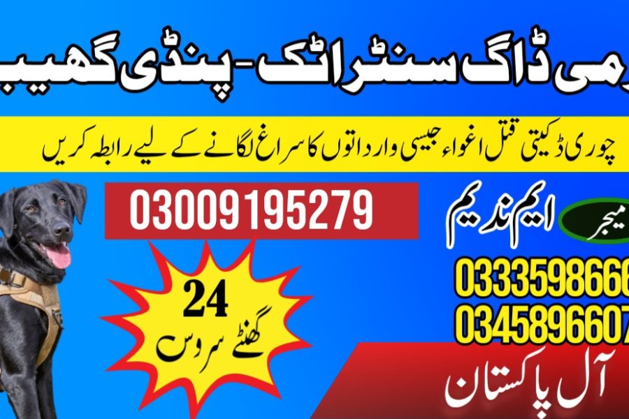 آرمی ڈاگ سنٹر اٹک 03459033016