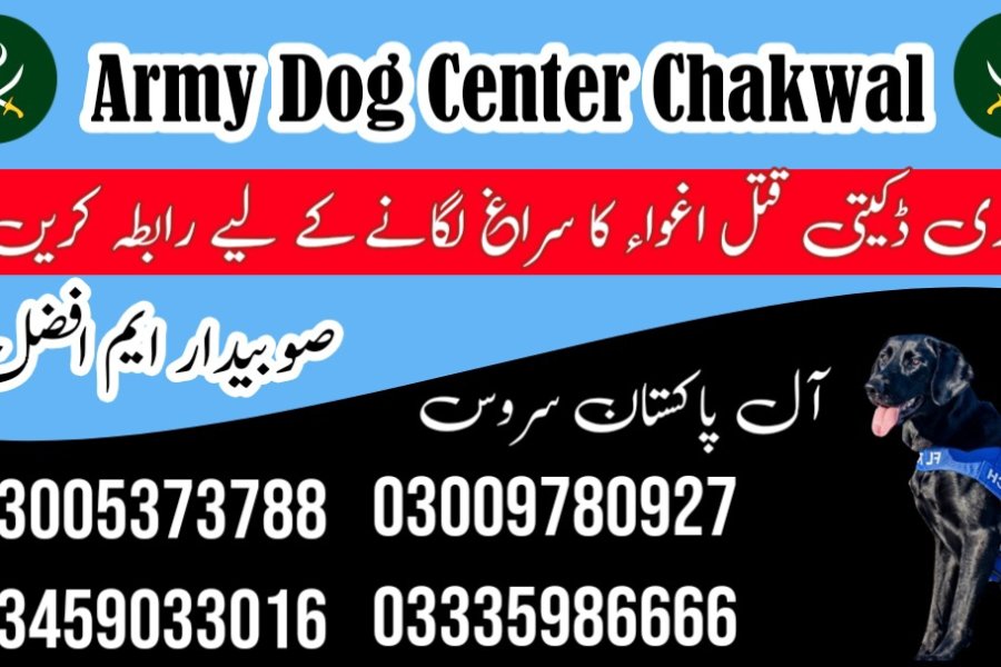آرمی ڈاگ سنٹر چکوال 03009780927