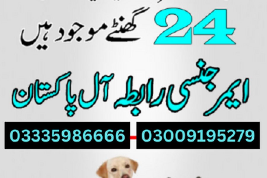 آرمی ڈاگ سنٹر صوابی 03018665280