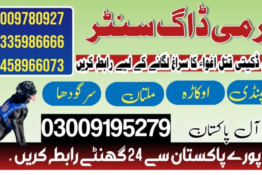 Army Dog Center Rawalpindi 03009195279