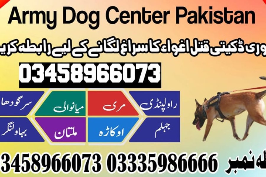 Army Dog Center Jhelum 03458966073
