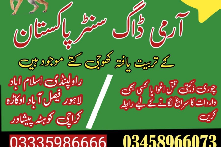 Army Dog Center Abbottabad 03018665280