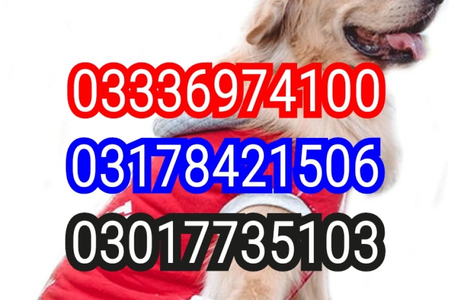 آرمی ڈاگ سنٹر کوٹ ادو 03017735103