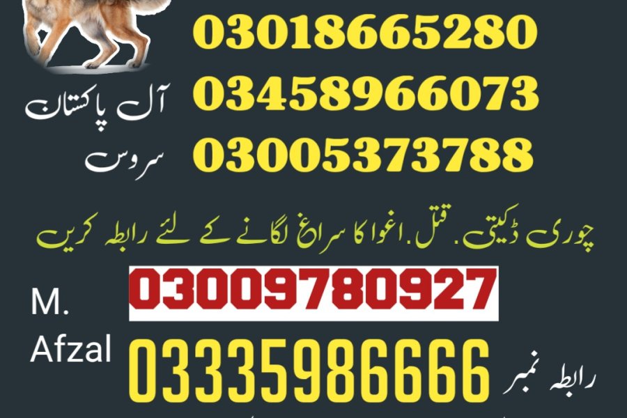 Army Dog Center Loralai 03459033016 (sniffing dogs in loralai)