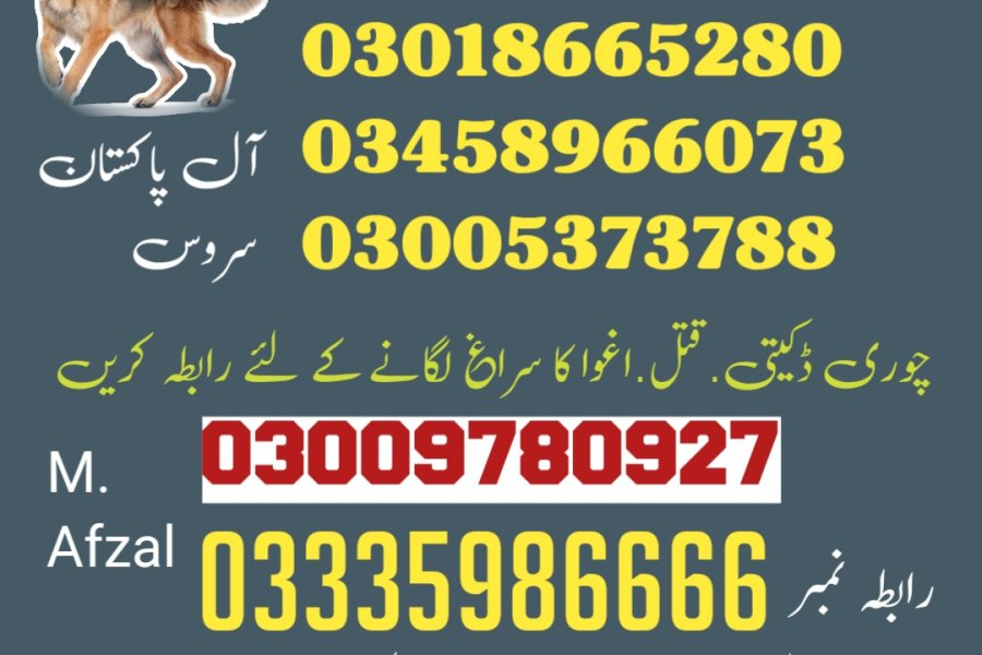 آرمی ڈاگ سینٹر کوئٹہ 03009195279 (سنفنگ ڈاگس)