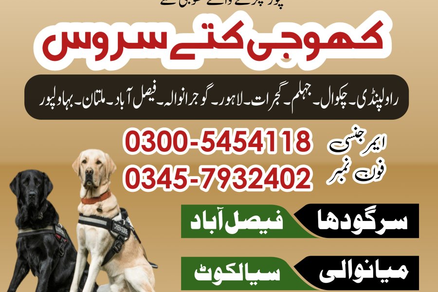 Khoji Dog Center Gujrat • 03005454118 • Khoji kutta Kharian, Jhelum, C