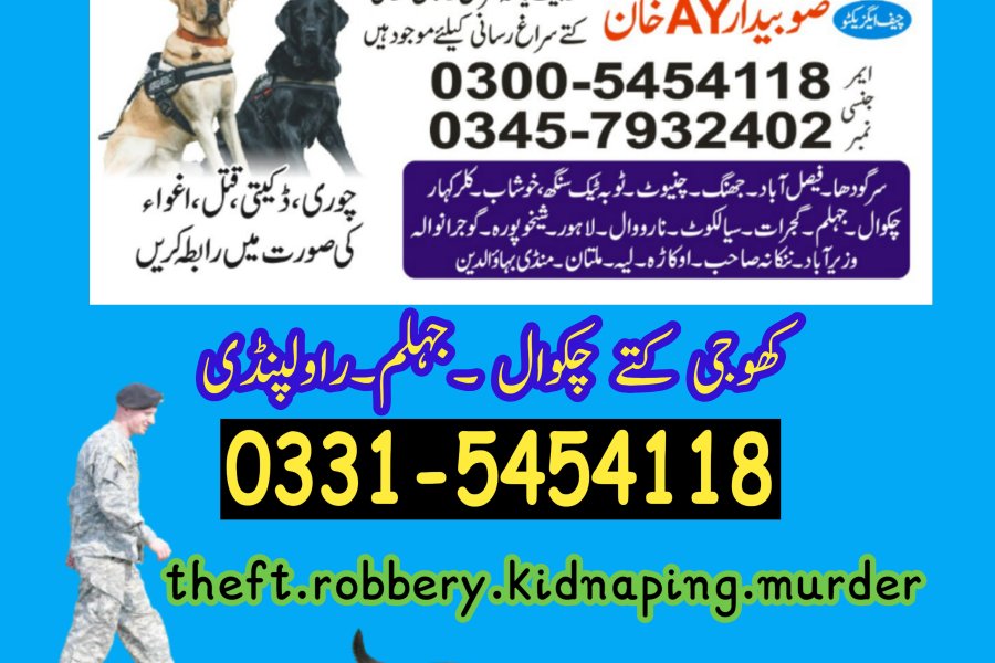 Khoji Dog Center Jhelum 03005454118 , Chakwal, Rawalpindi, Khoji kutta