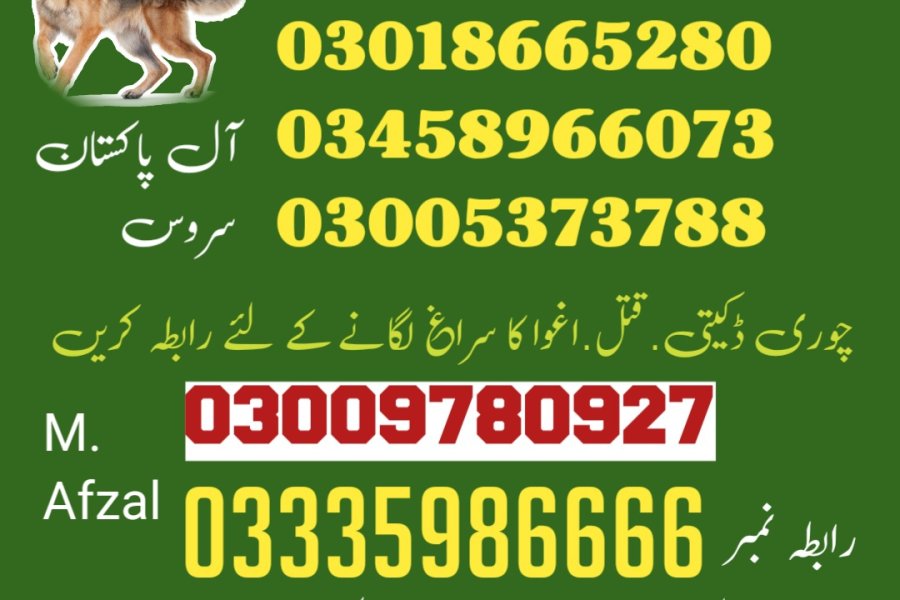 Army dog center sahiwal 03458966073 khoji dog center sahiwal