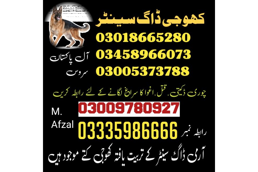 آرمی ڈاگ سنٹر فیصل آباد 03009195279 (کھوجی ڈاگ سنٹر فیصل آباد)