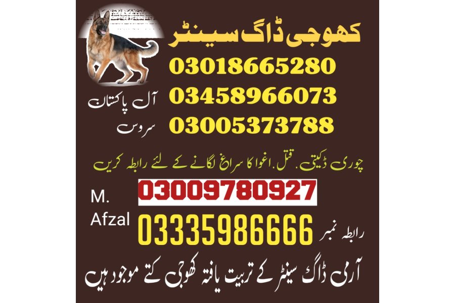 آرمی ڈاگ سنٹر گوادر 03009195279 (آرمی ڈاگ سنٹر گوادر)