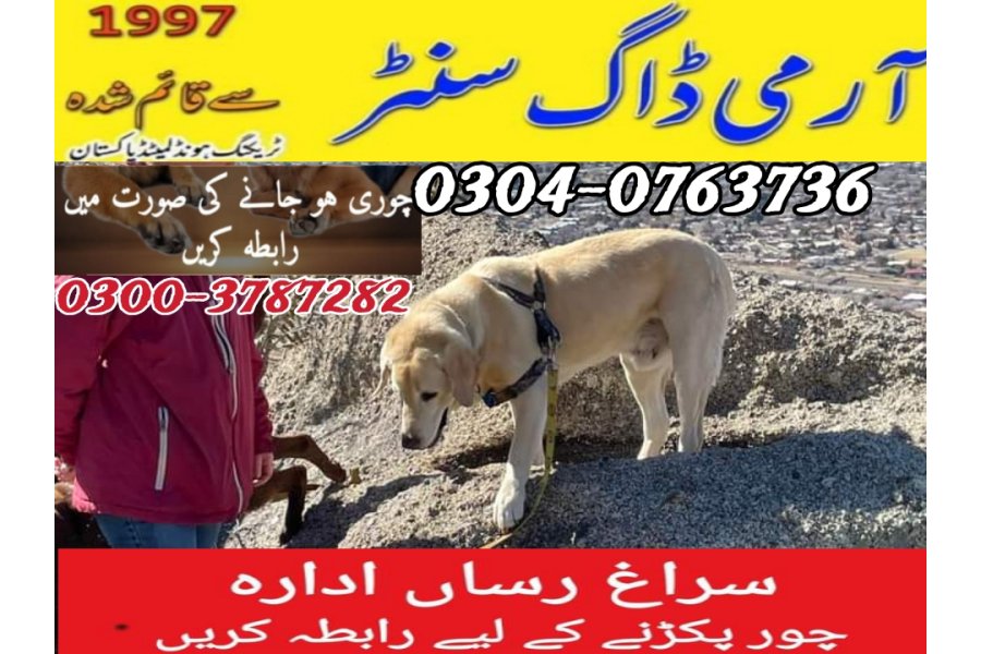 آرمی ڈاگ سنٹر جہلم پنڈ دادن خان 0346-6108015