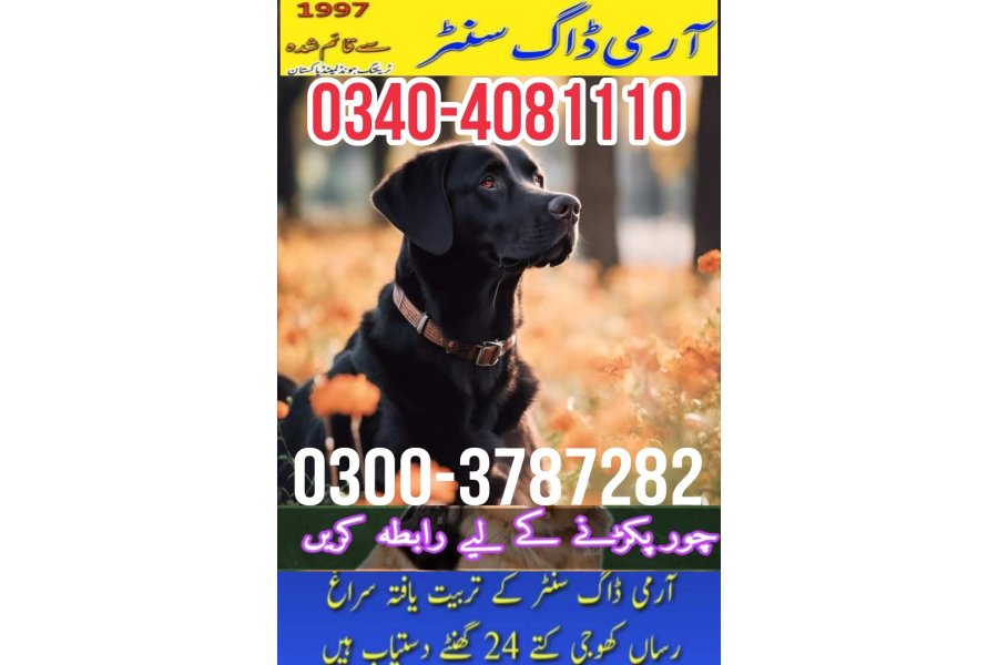 Chakwal Army dog center 0346-6108015