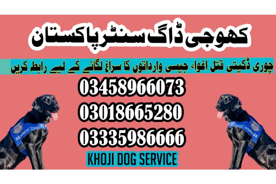 آرمی ڈاگ سنٹر گوجرانوالہ 03005373788 (فوج میں کتے)