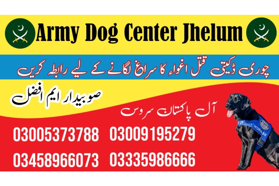 Army dog center Jhelum 03458966073 (Sniffingdogs)