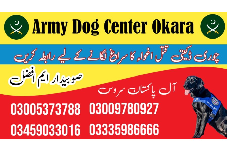 Army Dog Center Okara Cantt 03458966073 (sniffing dogs)