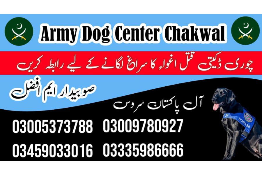 Army Dog Center Chakwal 03459033016 (Sniffers Dogs In Chakwal)