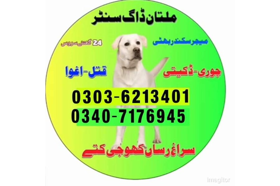 آرمی ڈاگ سنٹر کھاریاں گجرات 03036213401 | ڈسکوری ڈاگ ڈسکوری ڈاگ