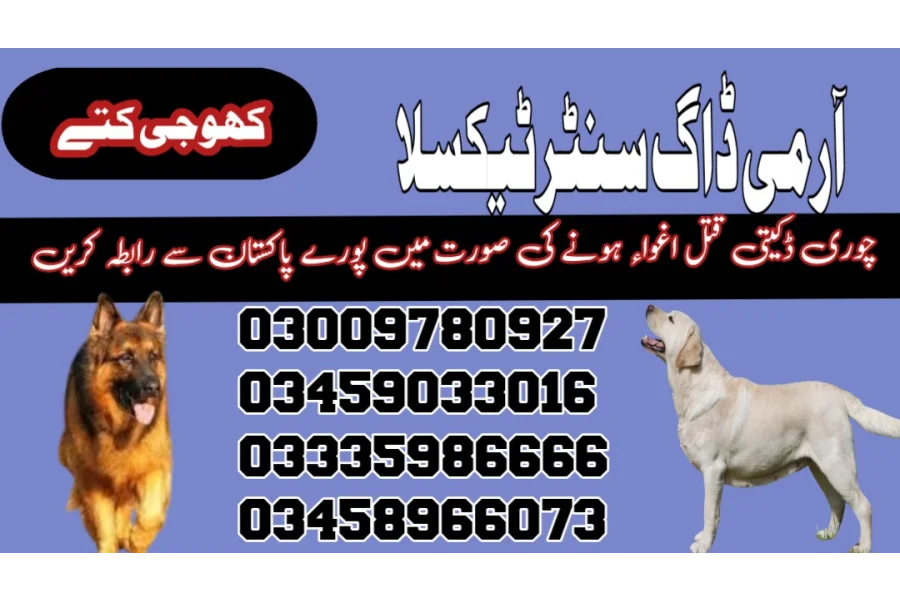 Army Dog Center Taxila 03458966073 (Sniffingdogs)