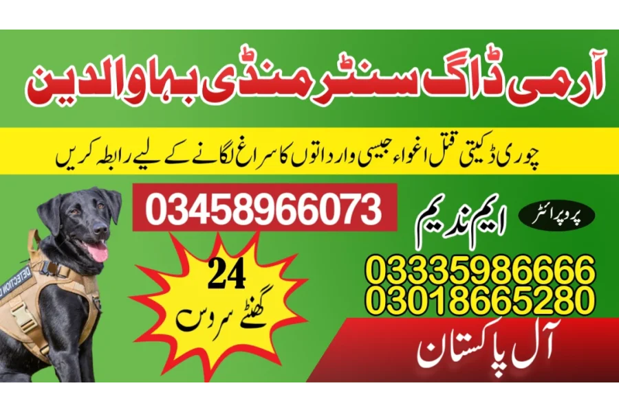 Army Dog Center Mandi Bahauddin 03458966073 (Sniffingdogs)