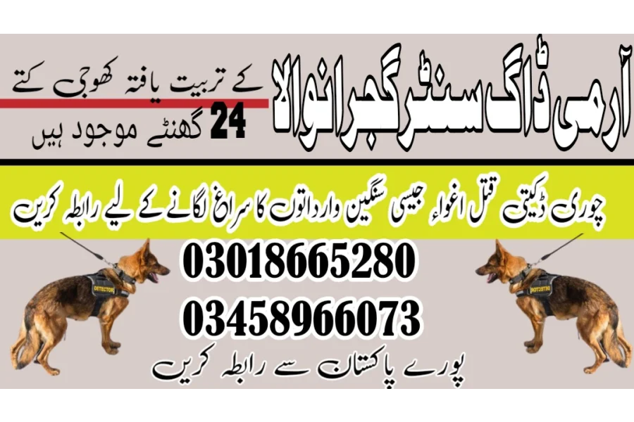 آرمی ڈاگ سنٹر گوجرانوالہ 03458966073 (کتے سونگھنے)