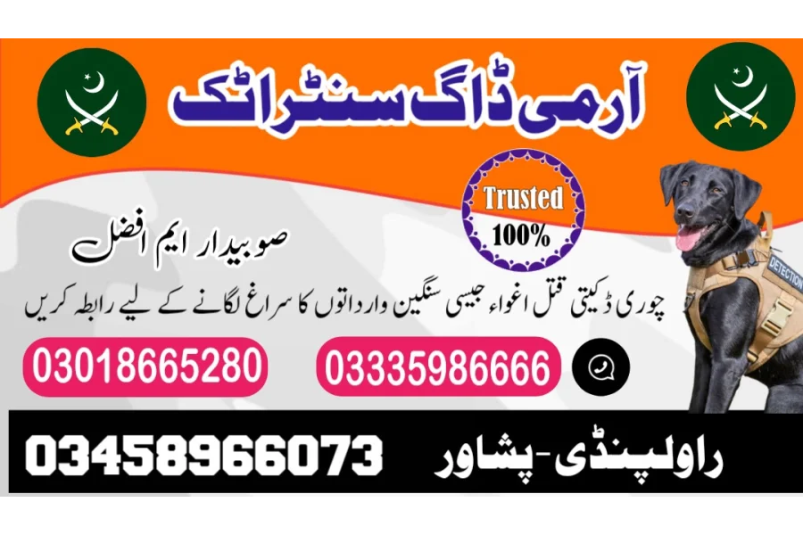 آرمی ڈاگ سینٹر اٹک 03458966073 (سنفنگ ڈاگس)