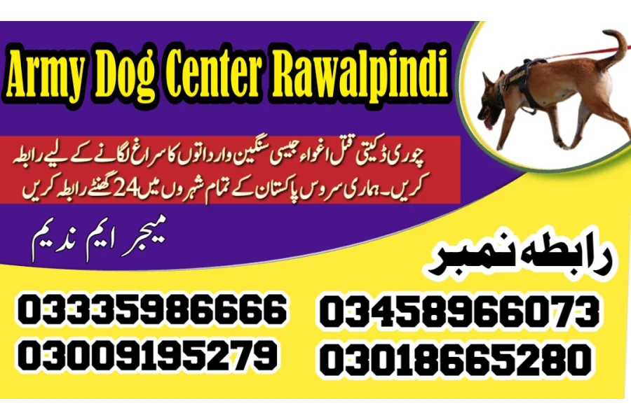 Army Dog Center Gujar Khan 03458966073 (Sniffing Dogs)