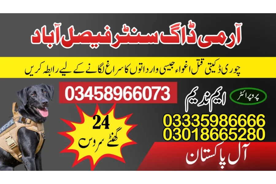 آرمی ڈاگ سنٹر فیصل آباد 03458966073 (سنفنگ ڈاگس)