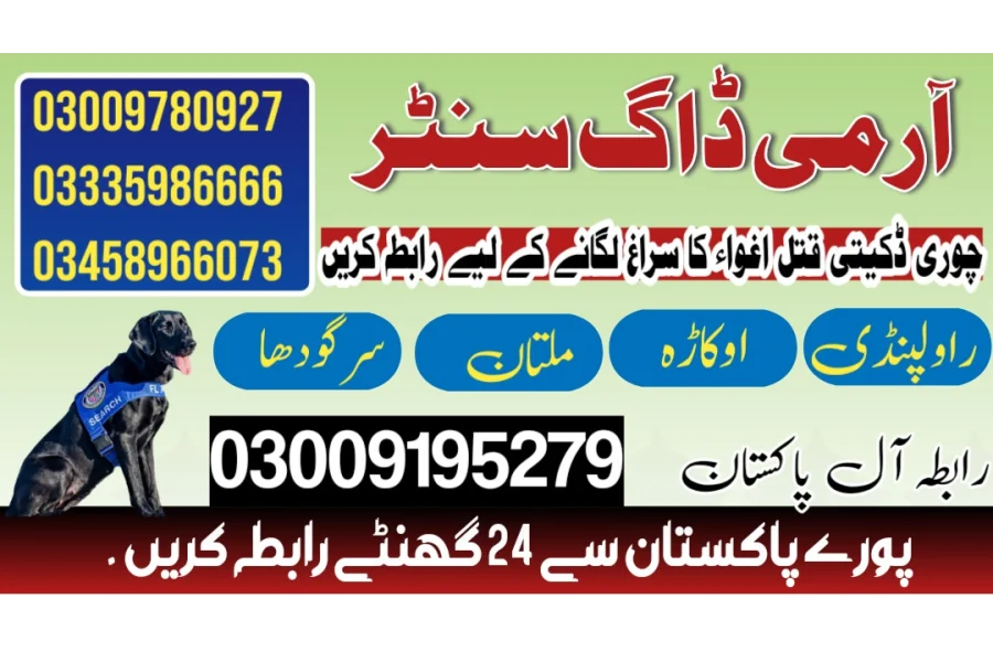 Army dog center Jauharabad 03458966073 (Sniffingdogs)