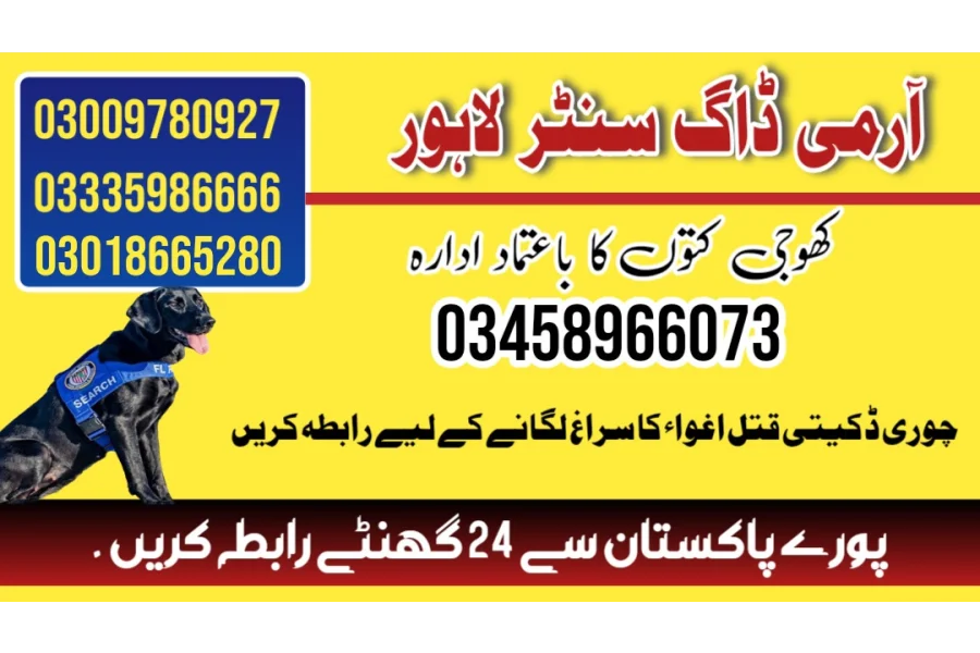 Army Dog Center Sheikhupura 03458966073 (Sniffingdogs)