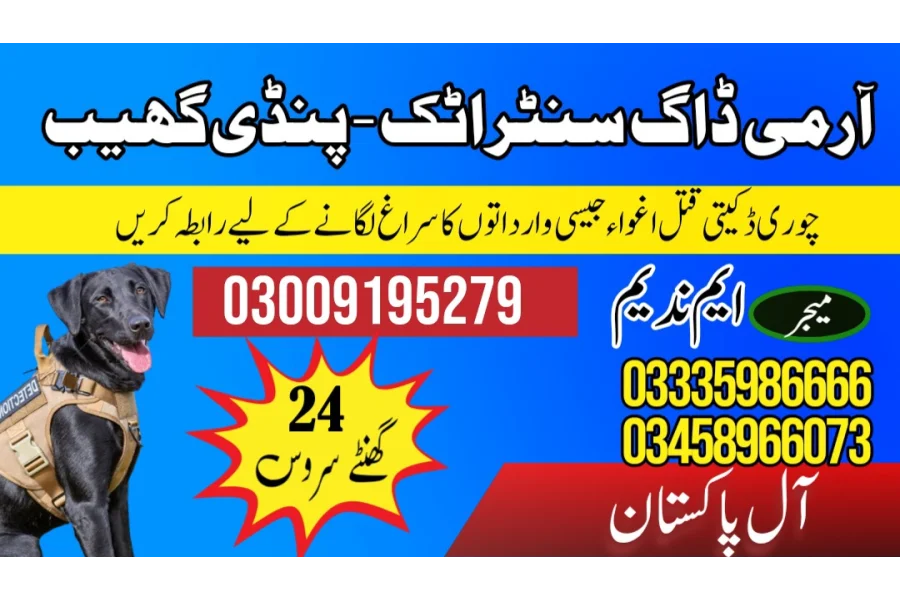Army dog center Pindi Gheb Jand 03458966073 (Sniffing Dogs)