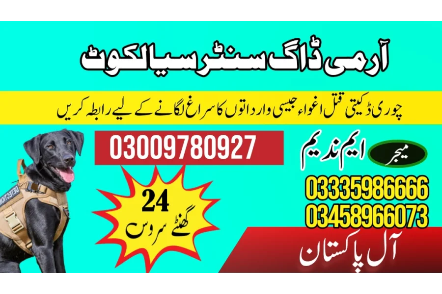 آرمی ڈاگ سنٹر نارووال 03458966073 (سنفنگ ڈاگس)