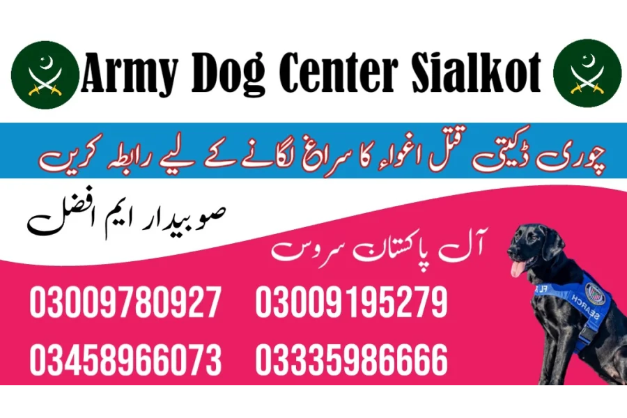 آرمی ڈاگ سنٹر سیالکوٹ 03458966073 (سنفنگ ڈاگس)