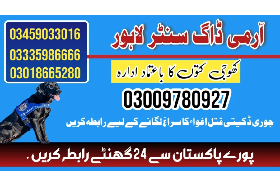 Army Dog Center Lahore 03458966073 (Sniffingdogs)