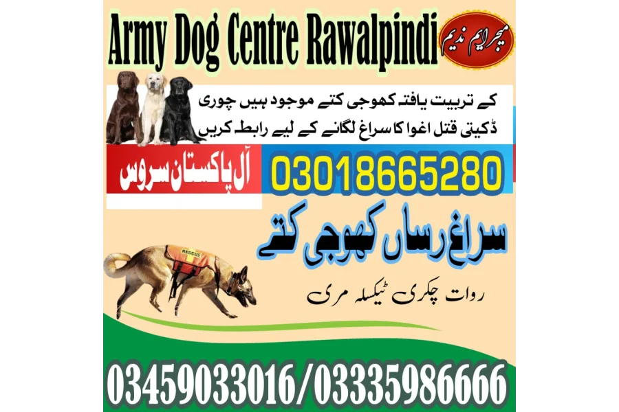 Army dog center Wah Cantt 03018665280 (Sniffingdogs)