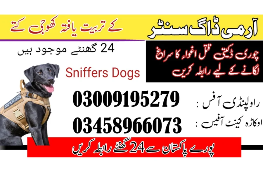 آرمی ڈاگ سنٹر قصور 03458966073 (سنفنگ ڈاگس)