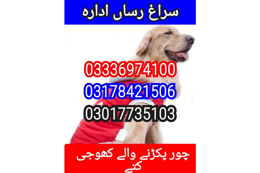 آرمی ڈاگ سنٹر پاکستان 03336974100