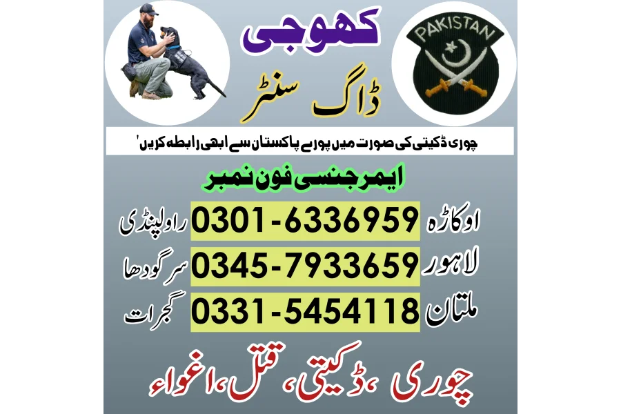 راولپنڈی میں کھوجی کتا 03005454118! کھوجی کٹا رابطہ نمبر